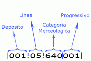 Codice tipo